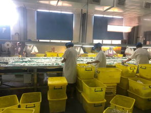 守護舌尖安全 我市持續推進餐飲具集中消毒質量提升行動